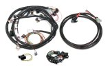 Holley EFI Systems Wiring Harnesses 558-508 Fuel Injection System Harnesses, EFI, Ford V8, Universal MPFI, with Main, Power, Injector Harnesses, for HP, Dominator ECU, Kit thumbnail 2
