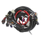 Holley LS Extended-Length Main Engine Harnesses 558-134 Wiring Harnesses, EFI, LS2/3/7, 58X/4X, Harness, Plug-and-Play, Extended Length, for Dominator/HP EFI Systems, Chevy, 6.0-7.0L, Each thumbnail 1