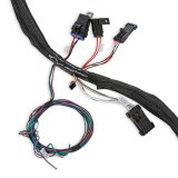 Holley LS Extended-Length Main Engine Harnesses 558-134 Wiring Harnesses, EFI, LS2/3/7, 58X/4X, Harness, Plug-and-Play, Extended Length, for Dominator/HP EFI Systems, Chevy, 6.0-7.0L, Each thumbnail 2