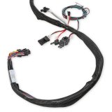 Holley LS Extended-Length Main Engine Harnesses 558-134 Wiring Harnesses, EFI, LS2/3/7, 58X/4X, Harness, Plug-and-Play, Extended Length, for Dominator/HP EFI Systems, Chevy, 6.0-7.0L, Each thumbnail 3