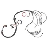 Holley LS Extended-Length Main Engine Harnesses 558-134 Wiring Harnesses, EFI, LS2/3/7, 58X/4X, Harness, Plug-and-Play, Extended Length, for Dominator/HP EFI Systems, Chevy, 6.0-7.0L, Each thumbnail 7