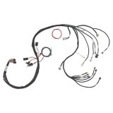 Holley LS Extended-Length Main Engine Harnesses 558-134 Wiring Harnesses, EFI, LS2/3/7, 58X/4X, Harness, Plug-and-Play, Extended Length, for Dominator/HP EFI Systems, Chevy, 6.0-7.0L, Each thumbnail 8