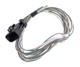 Holley Wiring Harnesses 558-462 Harnesses. EFI, Replacement, Input/Output Harness, Terminator EFI Systems, Pre-Terminated, Plug-and-Play, Each thumbnail 2