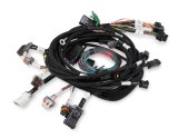 Holley EFI Systems Wiring Harnesses 558-108 Harnesses, EFI, Ford 2V/4V Modular, Main Harness, Multi-port Fuel Injection, for HP, Dominator, Systems, Ford, 4.6-5.4L, Each thumbnail 3