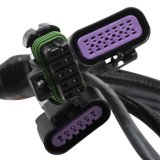 Holley EFI Terminator Stealth Main Wiring Harnesses 558-121 Fuel Injection System Harnesses, EFI, 2x4, Upgrade Harness, Plug-and-Play, Universal, Kit thumbnail 1