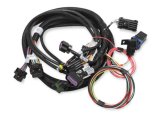 Holley EFI Terminator Stealth Main Wiring Harnesses 558-121 Fuel Injection System Harnesses, EFI, 2x4, Upgrade Harness, Plug-and-Play, Universal, Kit thumbnail 5