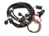 Holley EFI Terminator Stealth Main Wiring Harnesses 558-121 Fuel Injection System Harnesses, EFI, 2x4, Upgrade Harness, Plug-and-Play, Universal, Kit thumbnail 7
