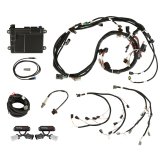Holley HP EFI ECU and Harness Kits 550-628 Engine Management Systems, EFI, Harness, Up to 16-Injectors, 8-Coils, Bosch O2 Sensor, Wideband, CANBUS, Ford, 4.6L, Kit thumbnail 2