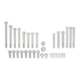 Holley Engine Fasteners 97-366 Fasteners, Replacement, Hardware, Steel, Cadmium Finish, for Mid-mount Accessory Drive System, Gen III, Hemi, Kit thumbnail 1