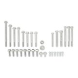 Holley Engine Fasteners 97-366 Fasteners, Replacement, Hardware, Steel, Cadmium Finish, for Mid-mount Accessory Drive System, Gen III, Hemi, Kit thumbnail 2