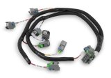 Holley Replacement Fuel Injector Wiring Harnesses 558-212 Injection System Harnesses, EFI, Replacement, Ford V8, Evenly Spaced, Harness, USCAR/EV6, for HP, Dominator EFI, Each thumbnail 3