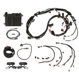 Holley HP EFI ECU and Harness Kits 550-628N Engine Management Systems, EFI, Harness, Up to 16-Injectors, 8-Coils, NTK O2 Sensor, Wideband, CANBUS, Ford, 4.6L, Kit thumbnail 2
