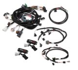Holley EFI Systems Wiring Harnesses 558-505 Fuel Injection System Harnesses, EFI, 2V Modular EFI, with Main, Power, Injector Harnesses, for HP, Dominator ECU, Ford, 4.6-5.4L, Kit thumbnail 1