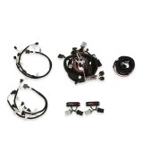 Holley EFI Systems Wiring Harnesses 558-505 Fuel Injection System Harnesses, EFI, 2V Modular EFI, with Main, Power, Injector Harnesses, for HP, Dominator ECU, Ford, 4.6-5.4L, Kit thumbnail 2