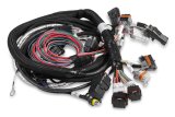 Holley EFI Systems Wiring Harnesses 558-116 Harnesses, EFI, Gen III Hemi, Throttle Position, Idle Air Controls, Factory Connectors, Chrysler, Dodge, Jeep, Hemi, Late Model, Each thumbnail 2