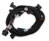 Holley Ford Coyote TI-VCT Sub Harnesses 558-125 Fuel Injection System Components, EFI, Ti-VCT, Sub-Harness, for Stock Camshafts, with HP, Dominator EFI, Ford, 5.0L, Coyote, Each thumbnail 2