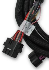 Holley Ford Coyote TI-VCT Sub Harnesses 558-125 Fuel Injection System Components, EFI, Ti-VCT, Sub-Harness, for Stock Camshafts, with HP, Dominator EFI, Ford, 5.0L, Coyote, Each thumbnail 3