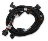 Holley Ford Coyote TI-VCT Sub Harnesses 558-125 Fuel Injection System Components, EFI, Ti-VCT, Sub-Harness, for Stock Camshafts, with HP, Dominator EFI, Ford, 5.0L, Coyote, Each thumbnail 4