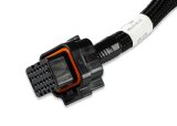Holley Chrysler Transmission Wiring Harnesses 558-473 Harnesses, EFI, Control Harness, Transmission, 46RE, Plug-and-Play, for Terminator X Max System Only, Each thumbnail 4