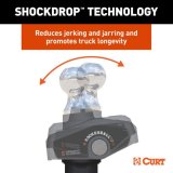 CURT Rockerball Cushioned Hitch Trailer Balls 60654 Ball, Gooseneck Rockerball, Steel, Chome Ball, 2 5/16 in. Ball, 30,000 lbs., Each thumbnail 5