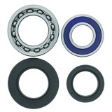 Quadboss Wheel and Carrier Bearing Seal Kits 413279 Powersports Drivetrain Kits, Wheel, Steel, Yamaha, Rear, Kit thumbnail 2