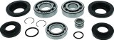 Quadboss Powersports Drivetrain Bearings and Seals 412794 QB DIFF BEARING KIT thumbnail 2
