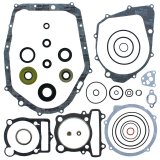 Quadboss Engine Gasket Sets 563996 QB GASKET SET WITH OS thumbnail 2