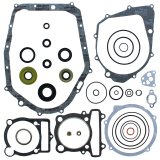 Quadboss Engine Gasket Sets 563996 QB GASKET SET WITH OS thumbnail 3
