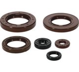 Quadboss Oil Seals 564684 QuadBoss 2022 Can-Am Commander 700 DPS Seal Set thumbnail 1