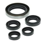 Quadboss Oil Seals 564349 QuadBoss 06-07 Polaris Outlaw 500 Seal Set thumbnail 1