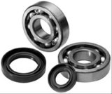 Quadboss Crankshaft Bearings and Bushings 413259 QBOSS CRANKSHAFT BEARING KIT thumbnail 1