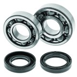 Quadboss Crankshaft Bearings and Bushings 413259 QBOSS CRANKSHAFT BEARING KIT thumbnail 2