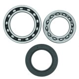 Quadboss Wheel and Carrier Bearing Seal Kits 413276 Powersports Drivetrain Kits, Wheel, Steel, Yamaha, Rear, Kit thumbnail 2
