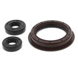 Quadboss Oil Seals 564239 QuadBoss 16-19 Polaris ACE 900 SP/XC Seal Set thumbnail 1