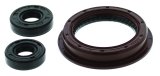 Quadboss Oil Seals 564239 QuadBoss 16-19 Polaris ACE 900 SP/XC Seal Set thumbnail 3