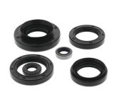 Quadboss Powersports Gasket Kits 564210 OIL SEAL SET thumbnail 1
