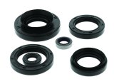 Quadboss Powersports Gasket Kits 564210 OIL SEAL SET thumbnail 3