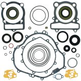 Quadboss Engine Gasket Sets 564069 QB GASKET SET WITH OS thumbnail 3