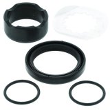 Quadboss Countershaft Bushings, Bearings, and Seals 414922 QB COUNTER SHAFT KIT thumbnail 2