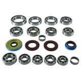 Quadboss Powersports Manual Transmission Bearings 401289 QuadBoss 17-19 Polaris ACE 500 Transaxle Bearing Kit thumbnail 2