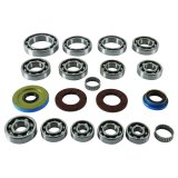 Quadboss Powersports Manual Transmission Bearings 401289 QuadBoss 17-19 Polaris ACE 500 Transaxle Bearing Kit thumbnail 4