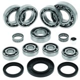 Quadboss Powersports Drivetrain Bearings and Seals 417759 QBOSS DIFFER BEARING KIT thumbnail 2