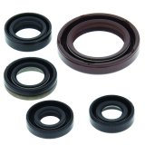 Quadboss Oil Seals 564175 QB OIL SEAL SET thumbnail 2