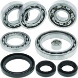 Quadboss Powersports Drivetrain Bearings and Seals 412798 QB DIFF BEARING KIT thumbnail 2