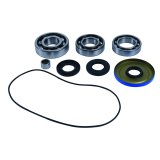 Quadboss Powersports Drivetrain Bearings and Seals 412795 QB DIFF BEARING KIT thumbnail 2