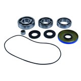 Quadboss Powersports Drivetrain Bearings and Seals 412795 QB DIFF BEARING KIT thumbnail 3