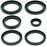 Quadboss Powersports Drivetrain Bearings and Seals 414116 QBOSS DIFFERENTIAL SEAL KIT thumbnail 2