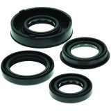 Quadboss Oil Seals 564158 QB OIL SEAL SET thumbnail 3