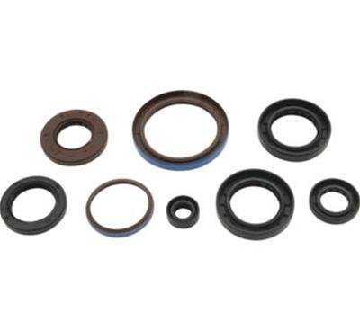 Quadboss Oil Seals 564596 QuadBoss 12-14 Arctic Cat 550 4x4 EFI Seal Set