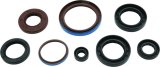 Quadboss Oil Seals 564596 QuadBoss 12-14 Arctic Cat 550 4x4 EFI Seal Set thumbnail 2